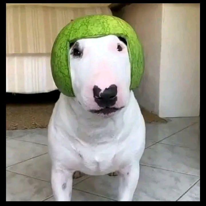 Lempt0n