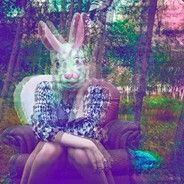 -lighto avatar