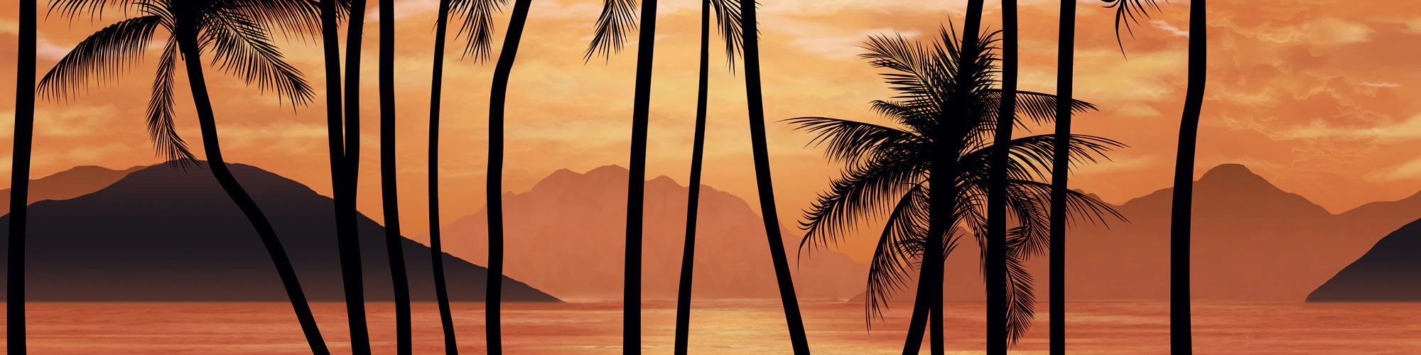 Faceit banner for @youngster