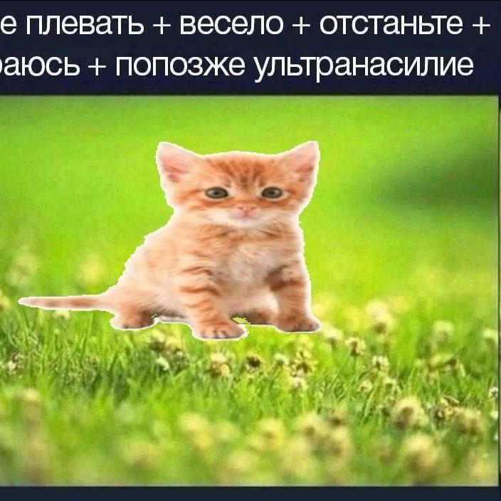 h4chir0ku_ avatar