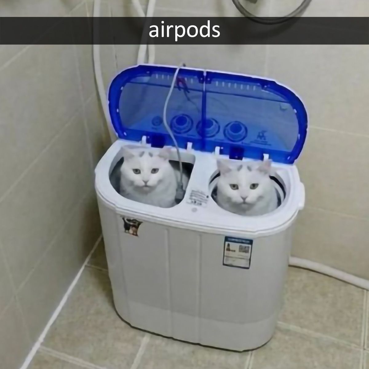 TvoiOtci