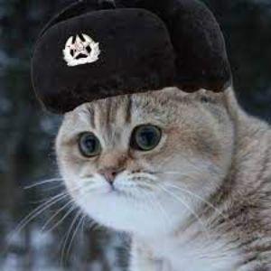 Kot_CCCP_ avatar