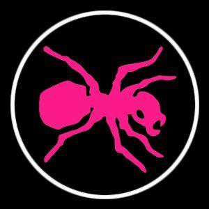 mod3st1 avatar