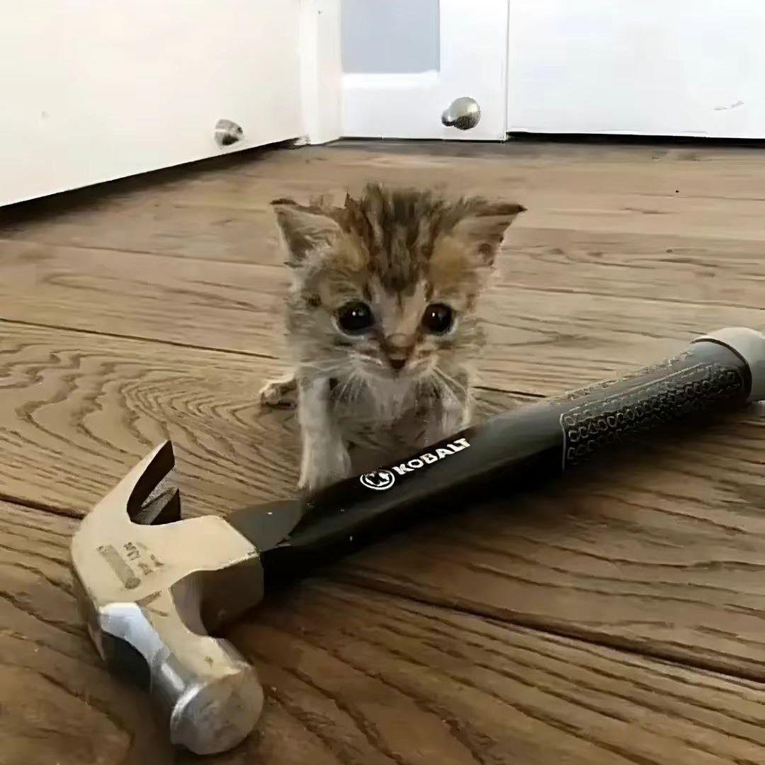 Howeveer