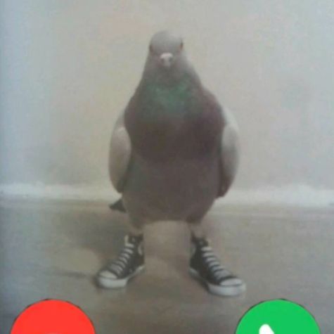 _Mersa_ avatar