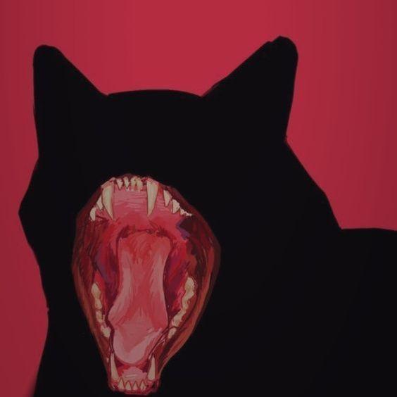lineupskuter avatar