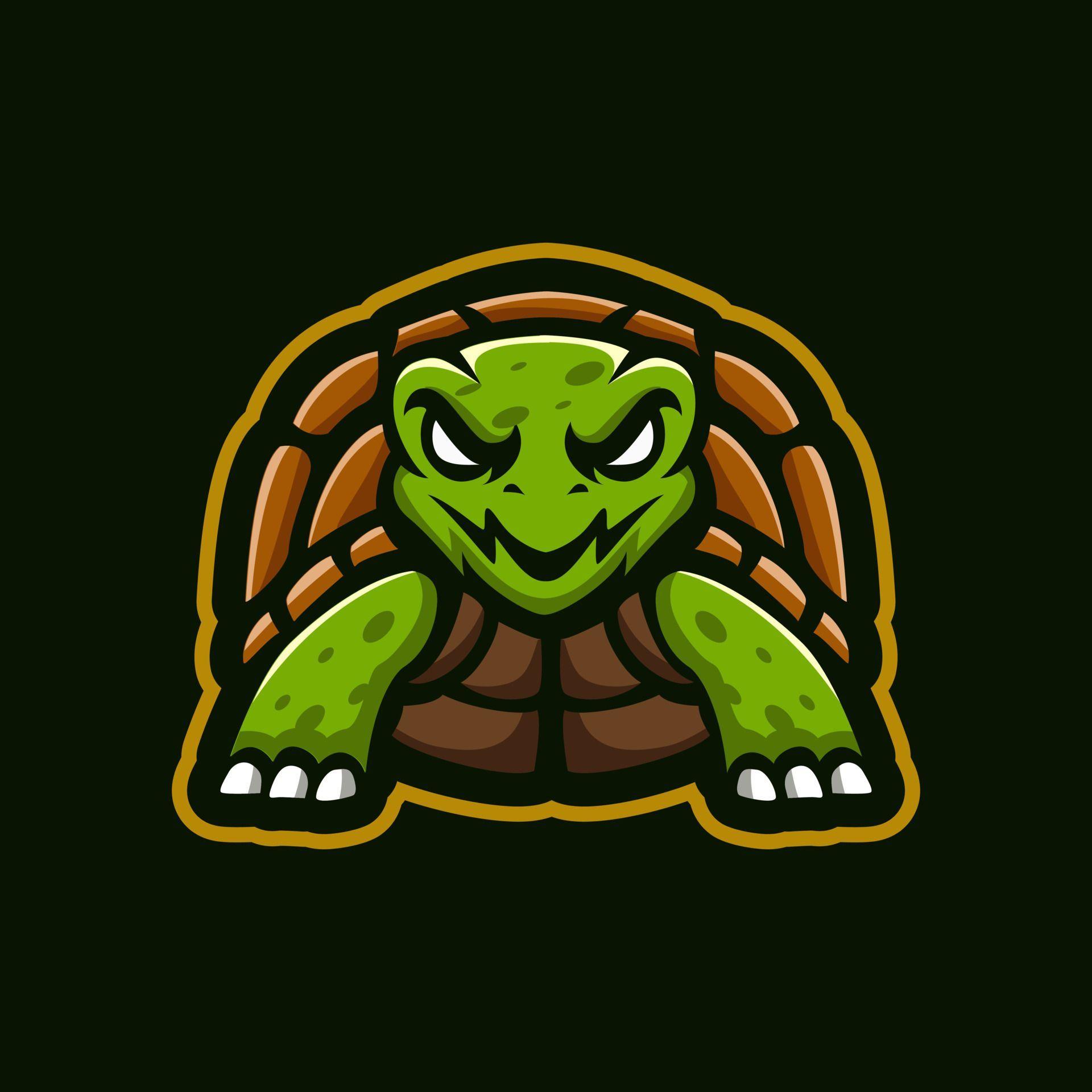 _Turt1e avatar