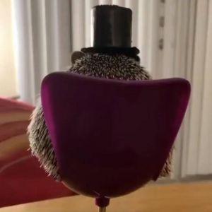 p0CUS3 avatar