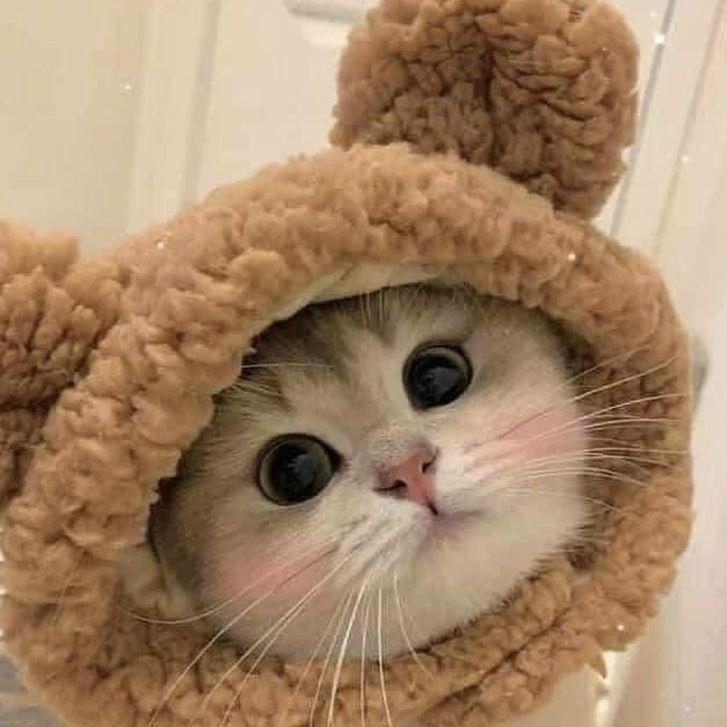 Ane4ka_Nya avatar