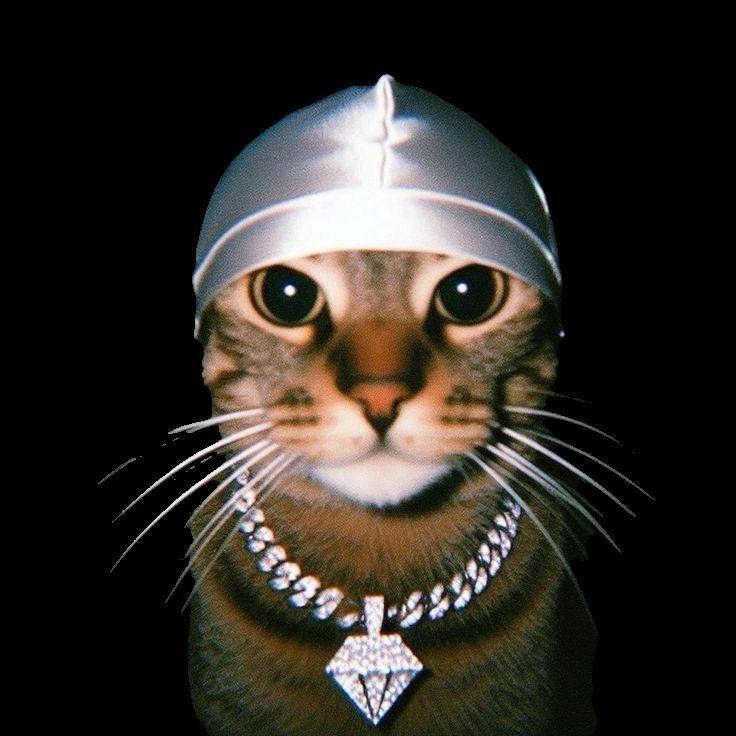 SpoitorDeMic avatar