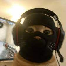 Veunes avatar