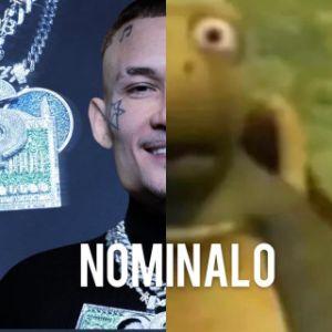 naminal0 avatar