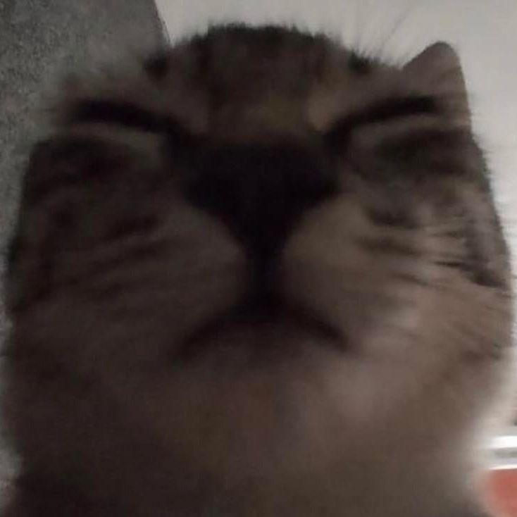 Ni9htVision avatar