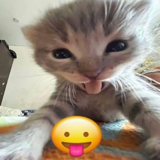 iskooo