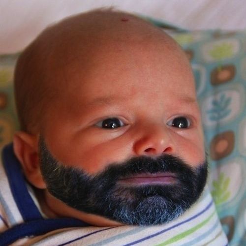 vMarco2