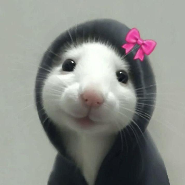 sffowner avatar