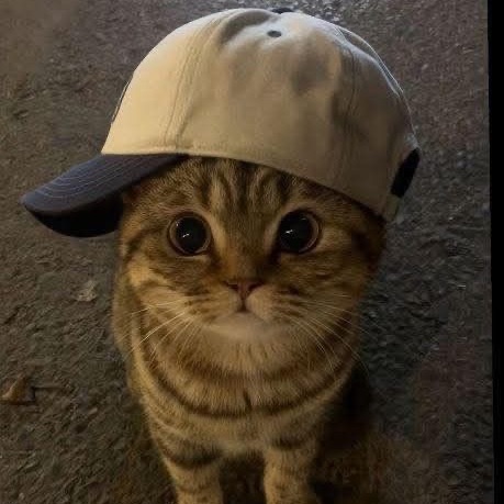 xxxxwww