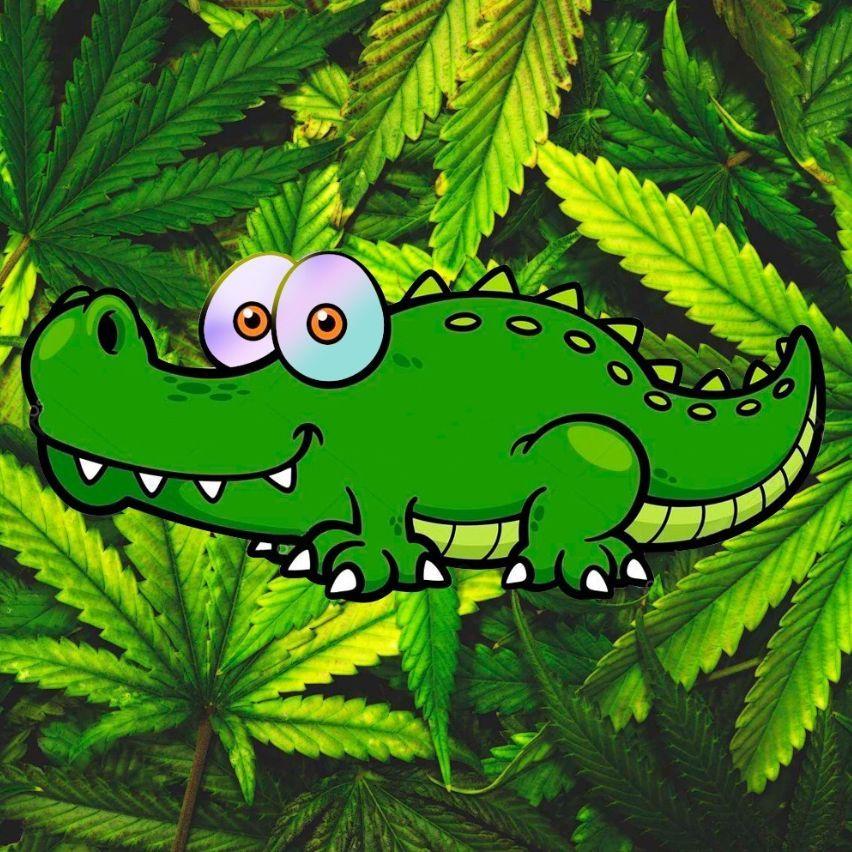 GG_Krokodil avatar