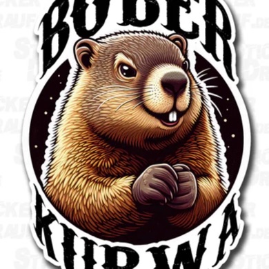 B0BER