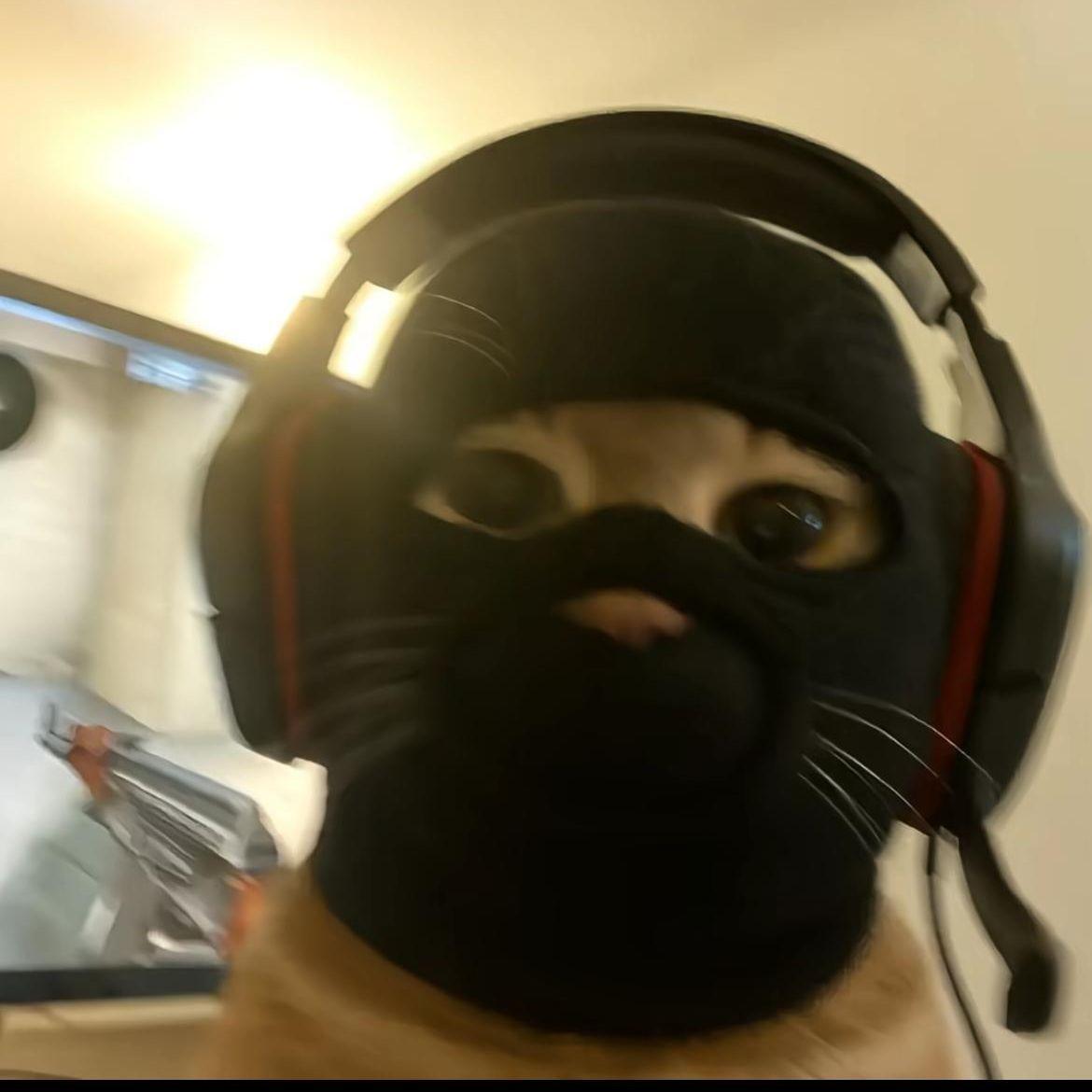 L3nsr avatar
