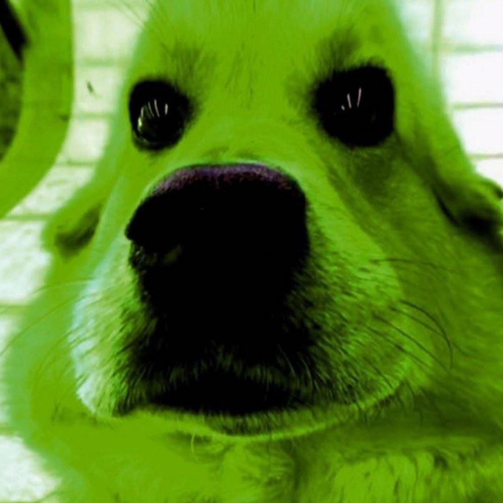 marixui avatar
