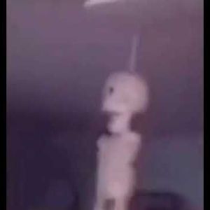 hopziii