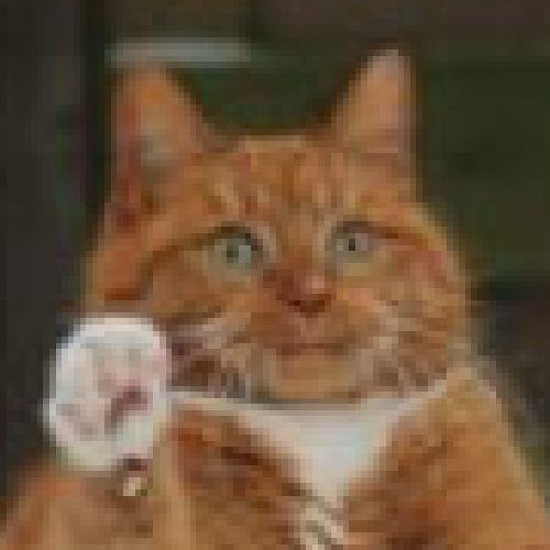 BceM_npuBeT avatar