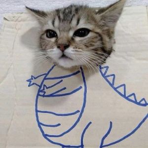 dinocat