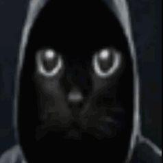 apelsinchk32 avatar
