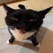 I_mm0rTaL avatar