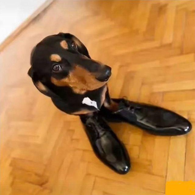 NAZZZARYCH