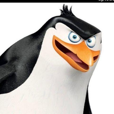 zeudum avatar