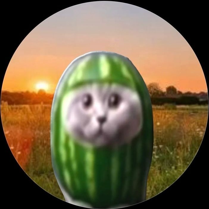 KHADISPEEK FACEIT avatar
