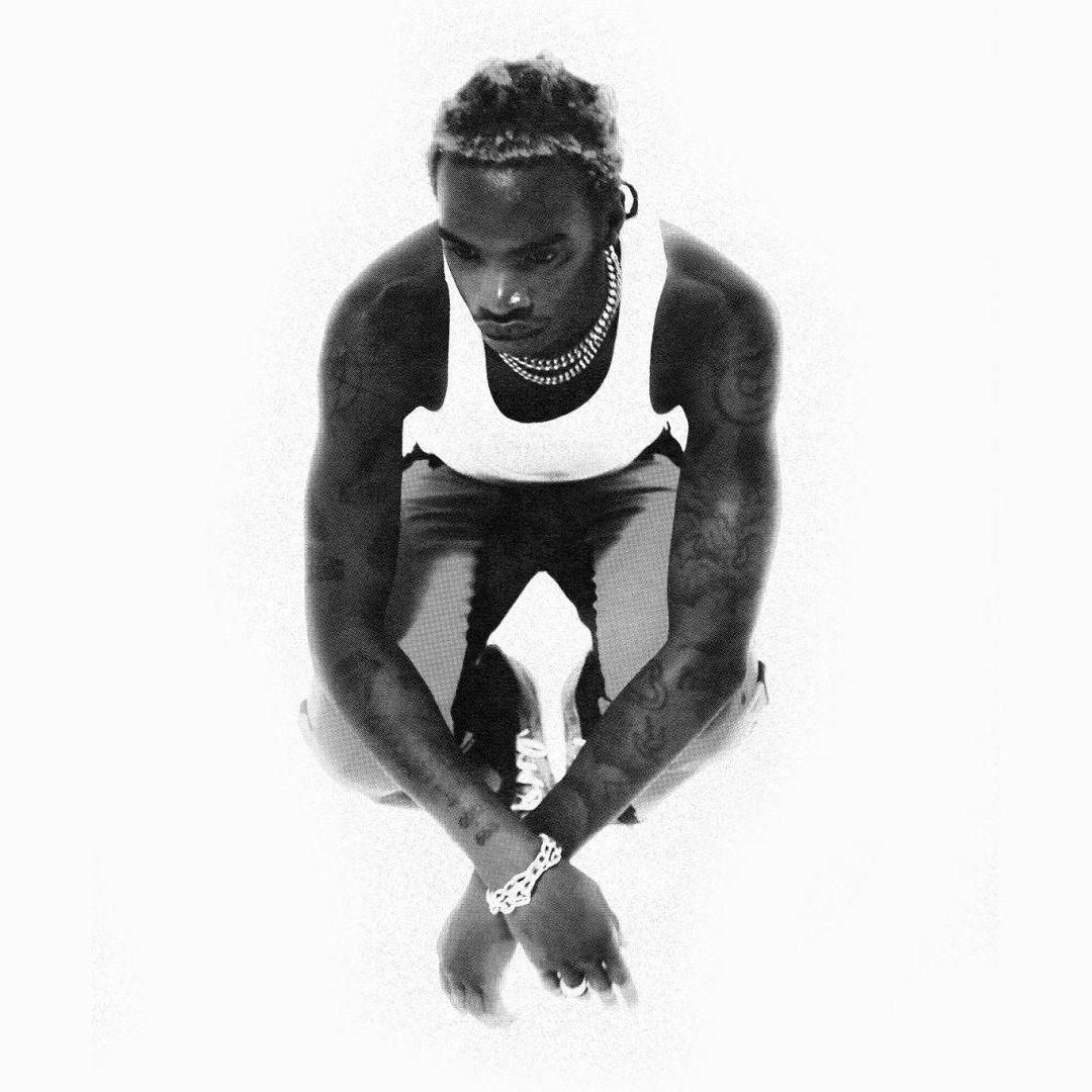 lanceyfoux avatar
