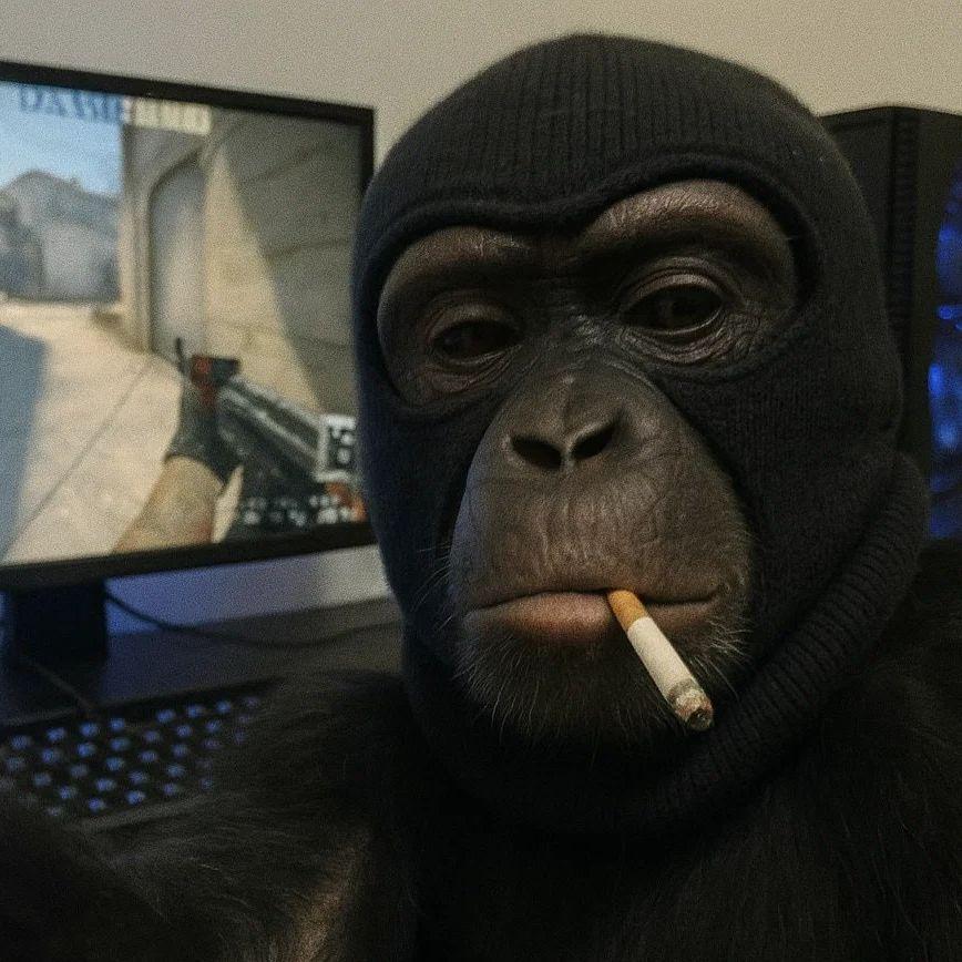 CallMeHorh avatar