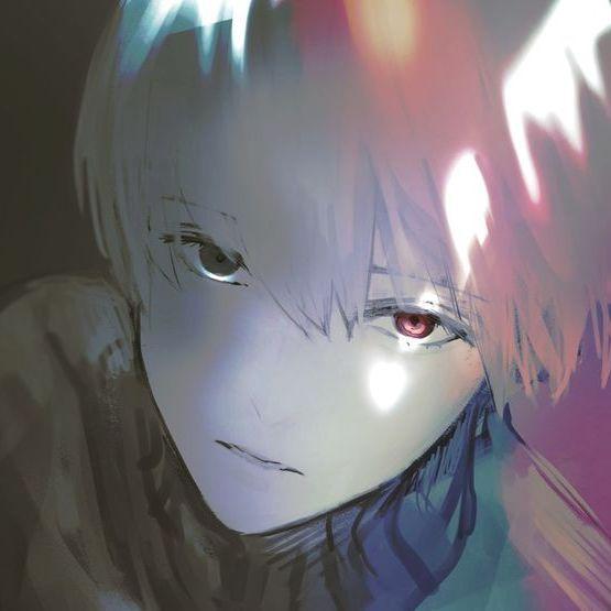 qvqrqweq avatar