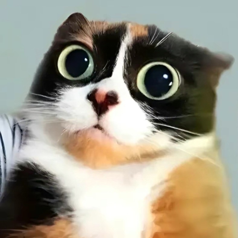 team_qqmeoww
