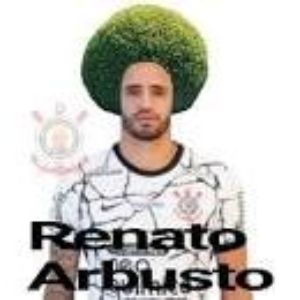RenatoArbust