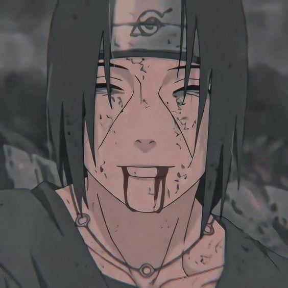 _koiNG avatar