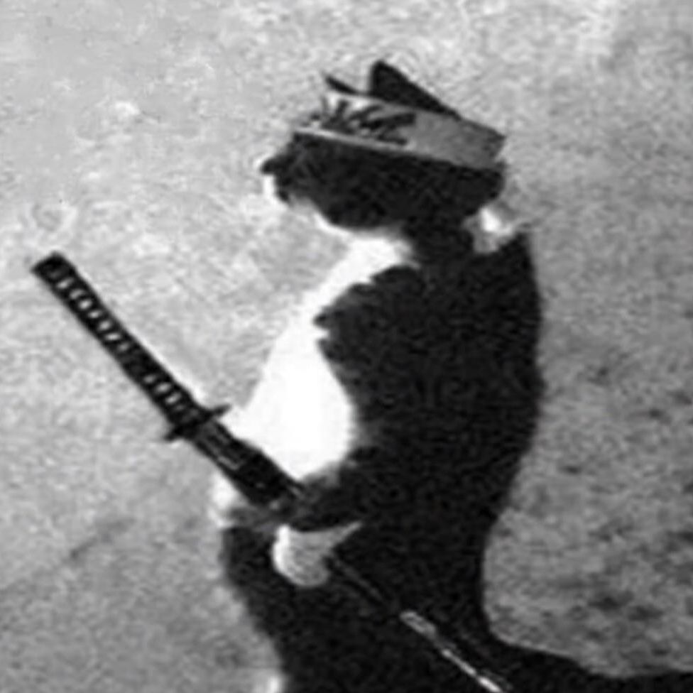 66133710 avatar