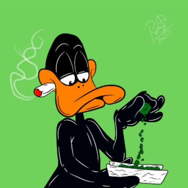 -EZxx avatar