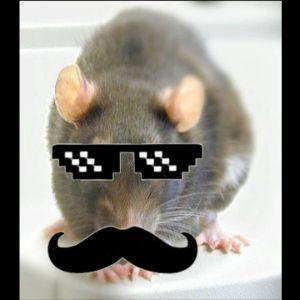 SOBODEPADURE