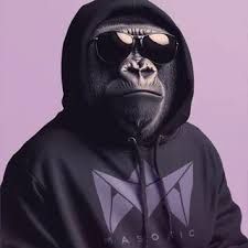 se1a_da1a FACEIT avatar