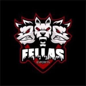 fellas esports