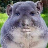 DeagleMaste_
