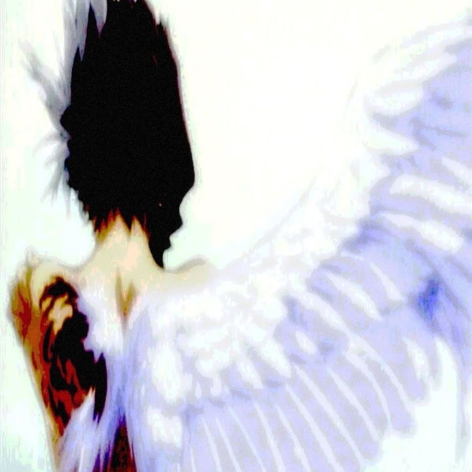 FallenCurse