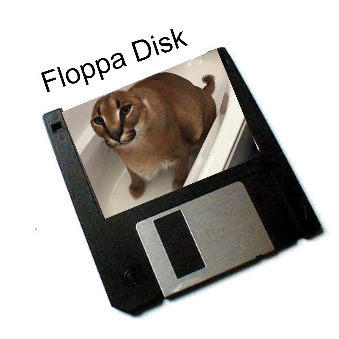 floppadisk avatar