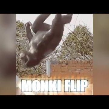 monkyflip