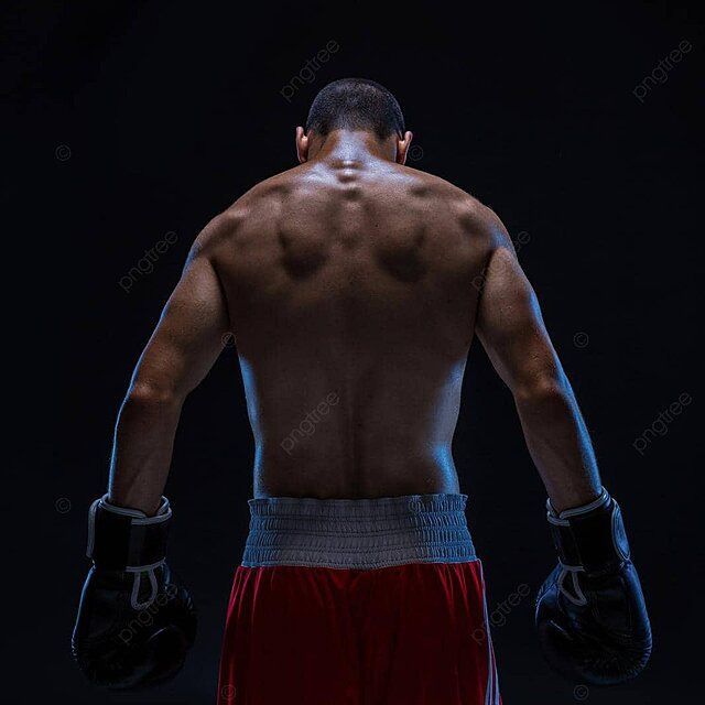 TaySonator