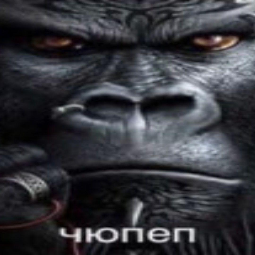 overfaine avatar